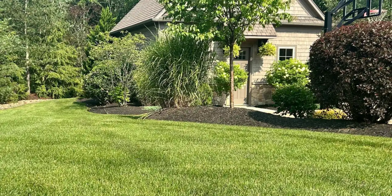 A thick, freshly mowed lawn in front of a shingle-style home and landscaped beds