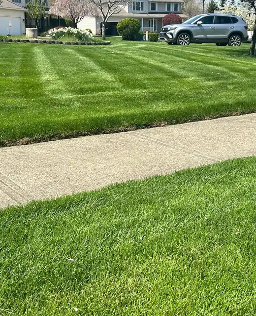 After: a thick, green, freshly striped lawn