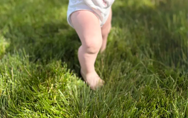 A toddler walking barefoot on thick grass